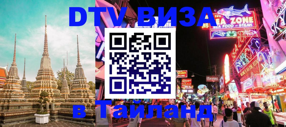Оформление DTV визы под ключ: стоимость и тарифы, только загранпаспорт - 